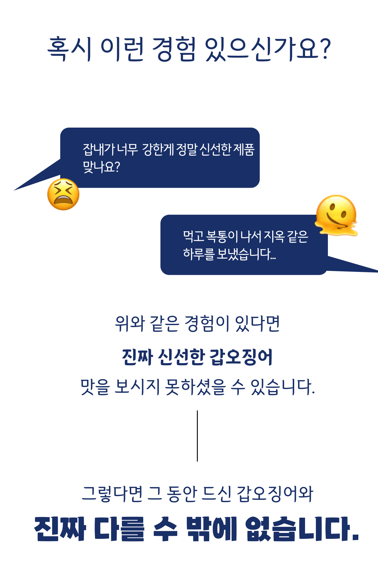 국내산 갑오징어 생물 특품 5kg, 1개 - 상세 이미지 3