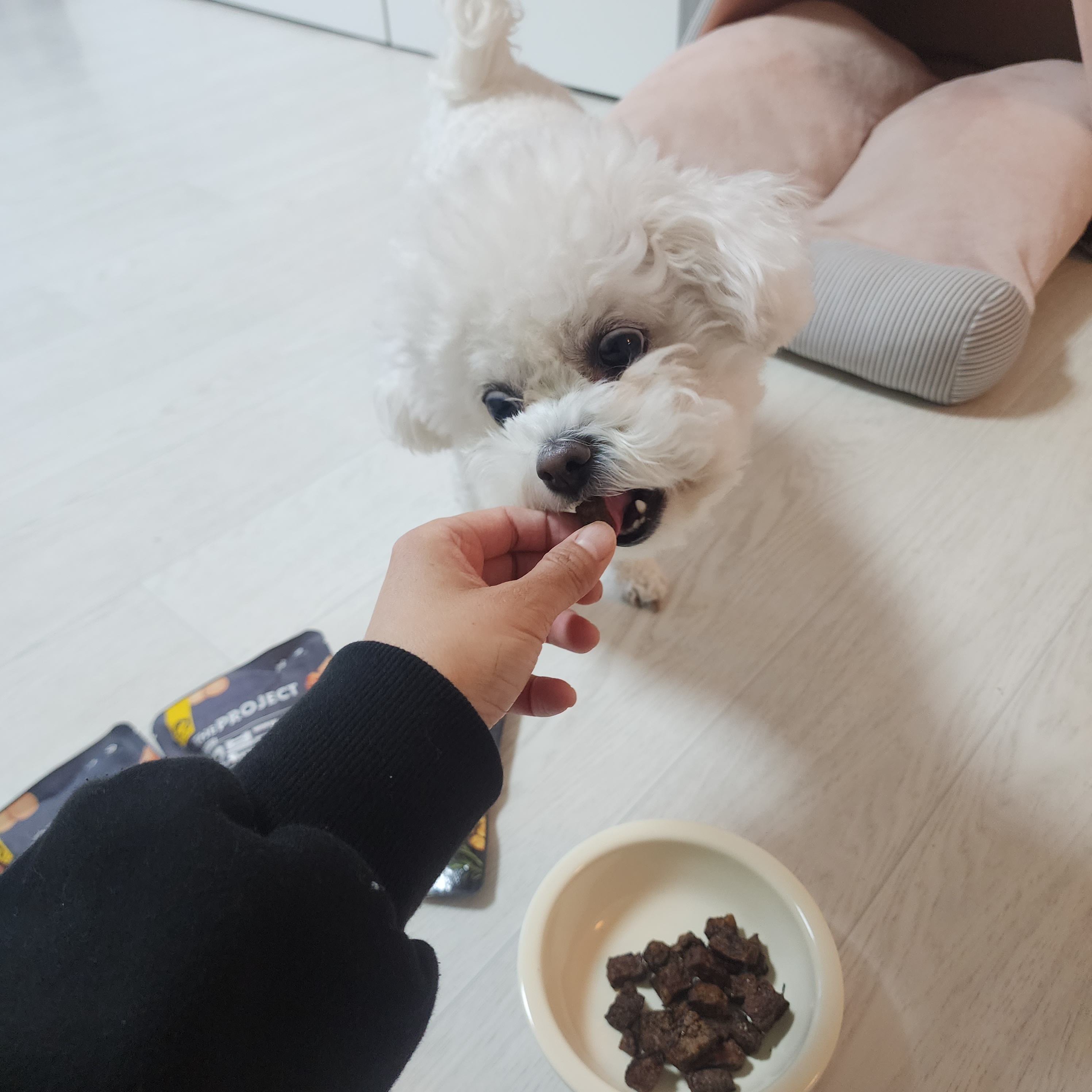 펫러닝 강아지보양식 강아지치킨 반려견 노견 특식 음식 간식 오븐구이 닭고기 40g 이미지 3