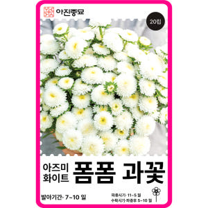 과꽃 씨앗 레인보우 혼합 / 20립 겹과꽃 종자 꽃씨 몰 고급 종자 [아... 실사용 후기 | 효과 있을까? - 상품 이미지 2