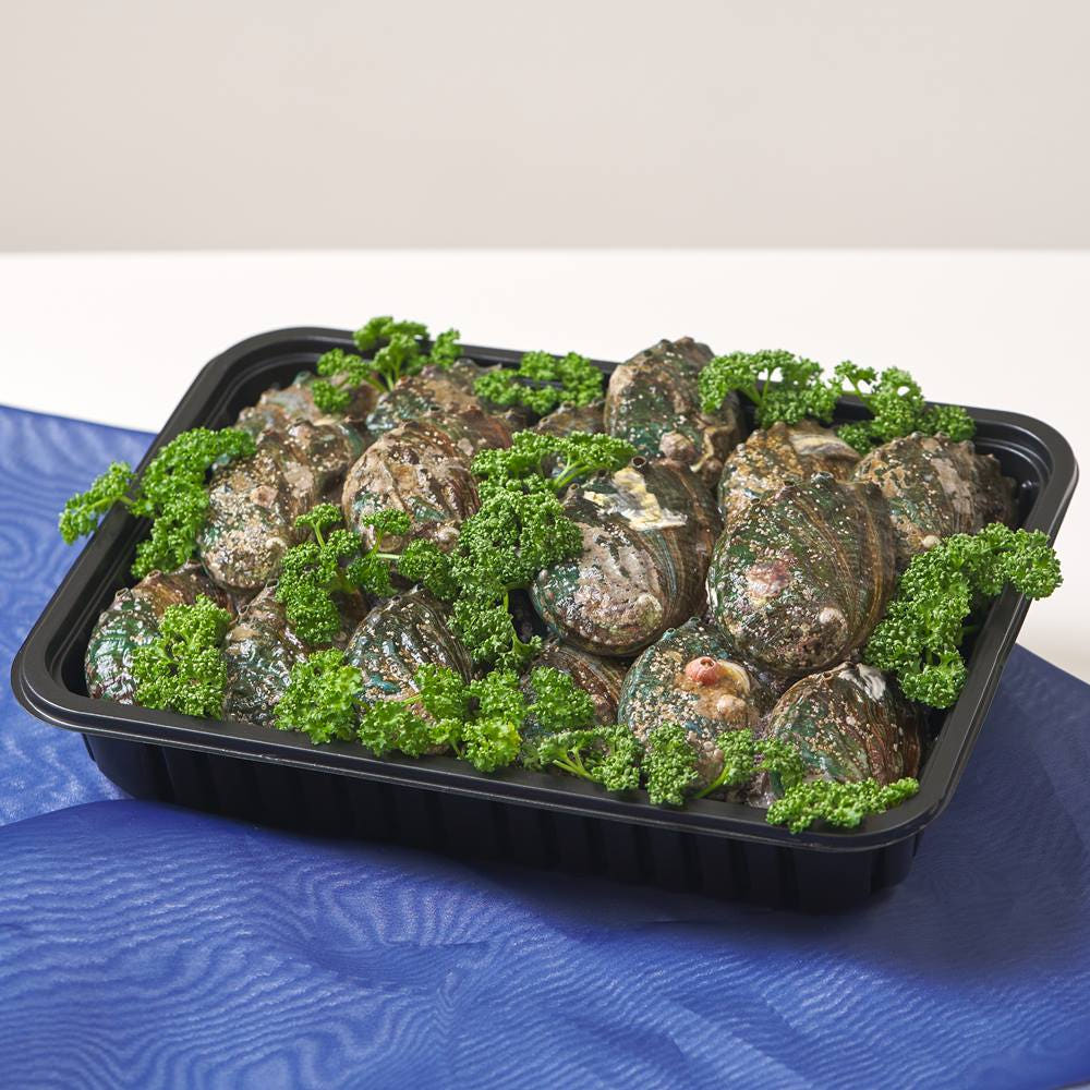 진짜전복 완도 활전복 특대 고급 전복선물세트 1.5kg 가격 추이 진짜전복 진짜전복 완도 활전복 특대 고급 전복선물세트 1.5kg - 최저가 78,000원