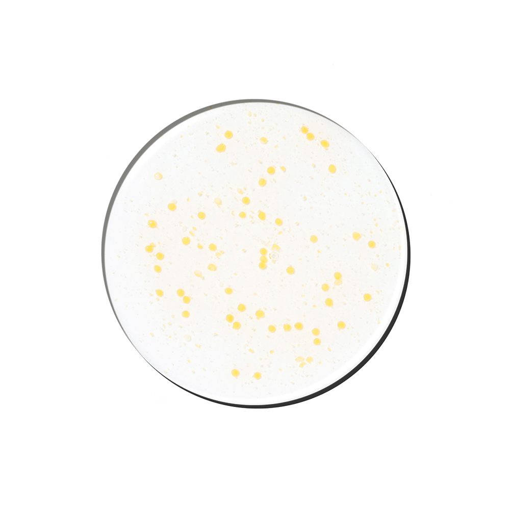 [대용량] 제나벨 PDRN 광채탄력 비타민 캡슐 토닝 연어앰플 70ml