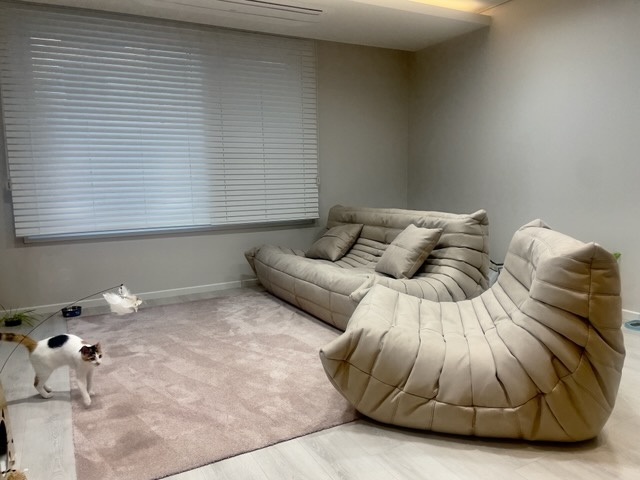 PH 17 패브릭 코너 모듈쇼파 이지클린 토고빈백 애벌레 번데기쇼파