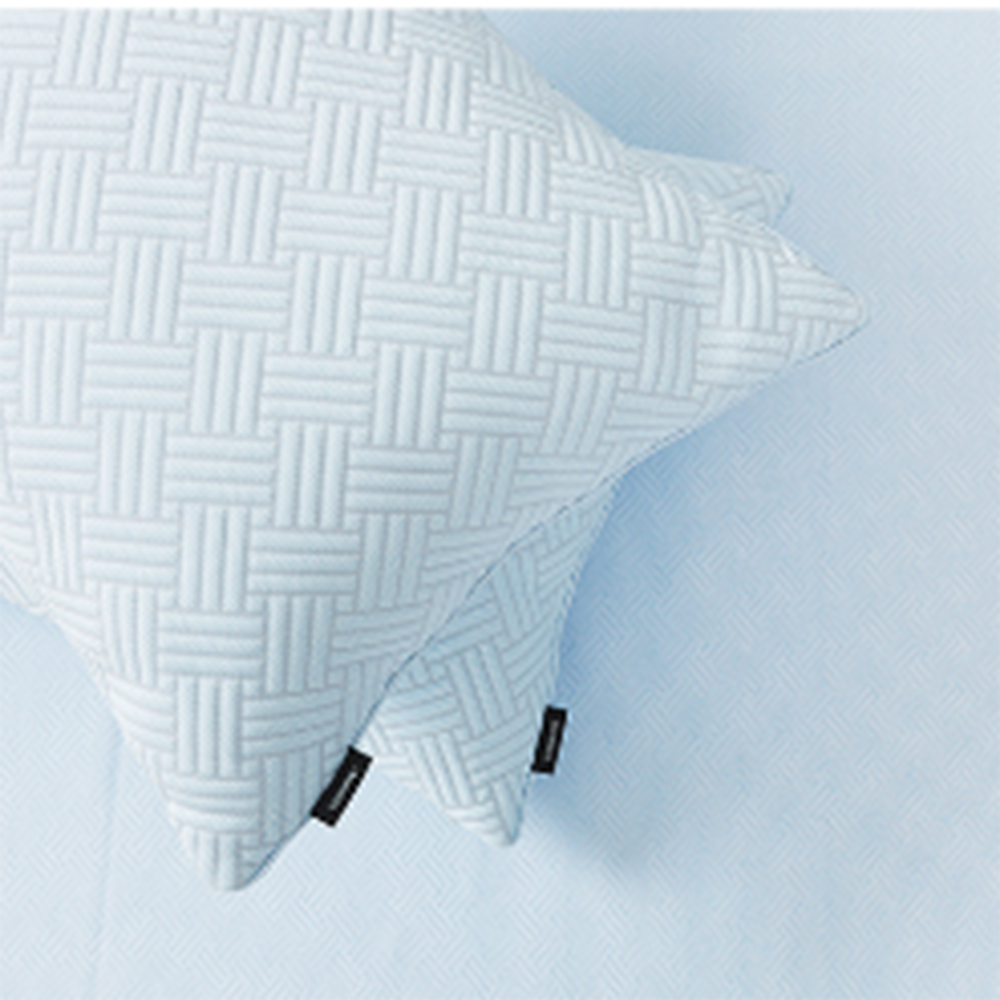 레노마 홈 시원한 여름 포르페 베개커버 모음전 네오포르페 블루그레이, 50x70cm