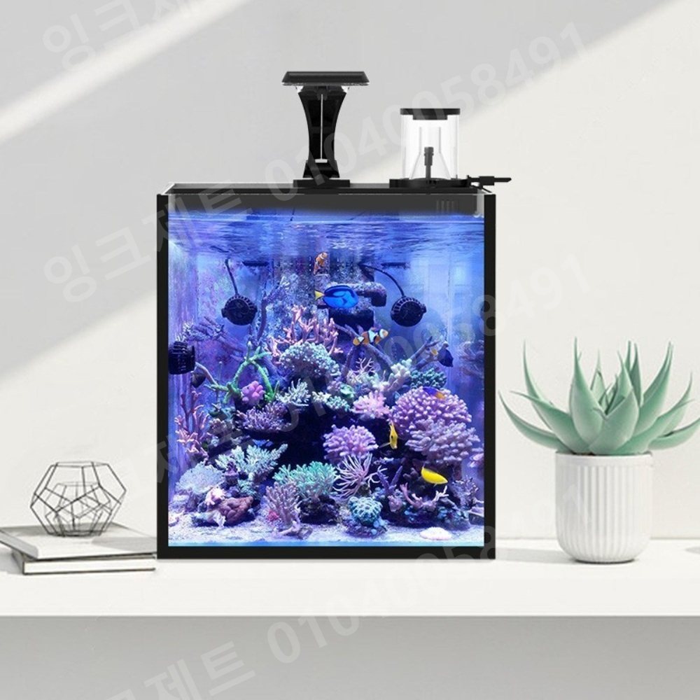 해수어항 배면 수족관 큐브 가재 산호 니모 키우기 탱크 - 상세 이미지 4