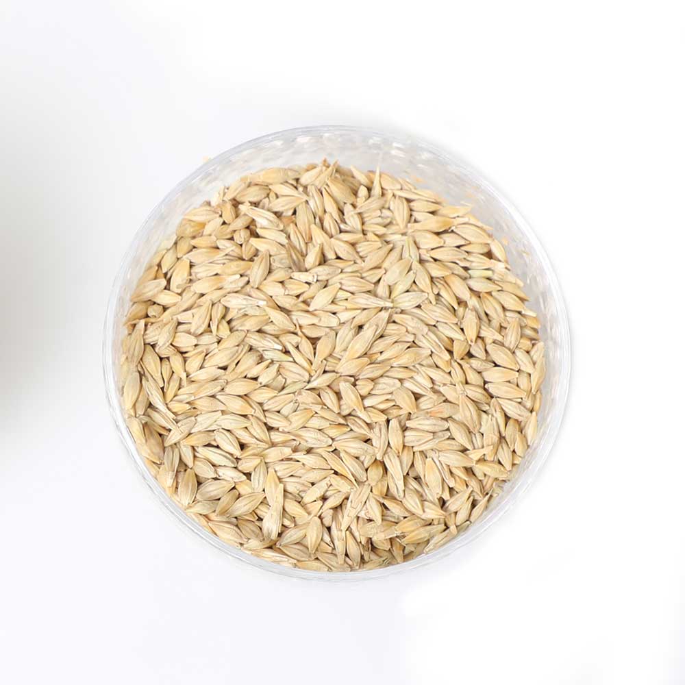 잇츠보리 100% 국산 세척하여 볶은 보리차 500g : 잇츠보리