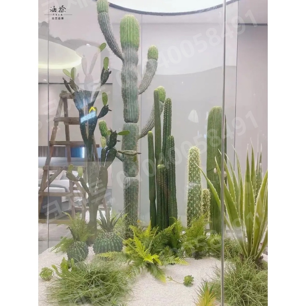 인조 선인장 사막 연출 대형 키큰 생화같은 인테리어 - 상세 이미지 4