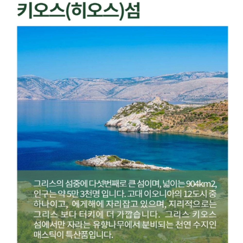 매스틱 알약 매스틱추출물 600mg 90정 - 상세 이미지 4
