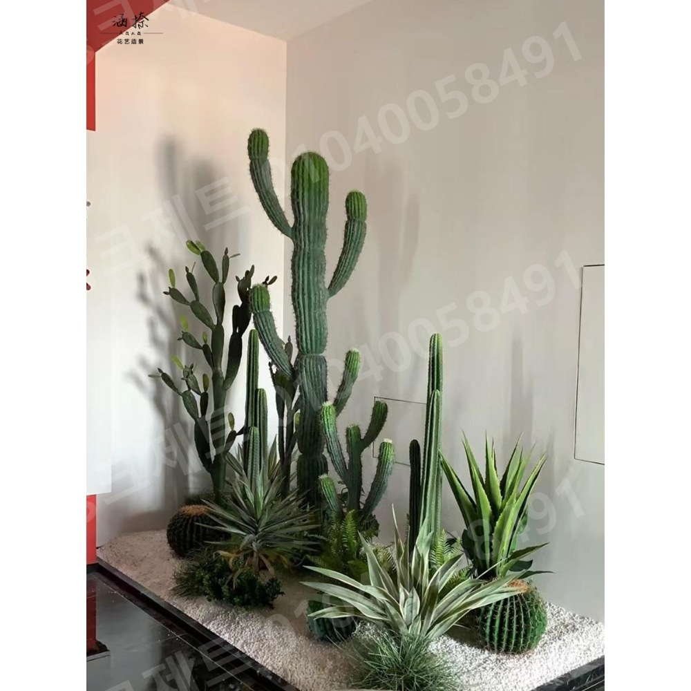 인조 선인장 사막 연출 대형 키큰 생화같은 인테리어 - 상세 이미지 3