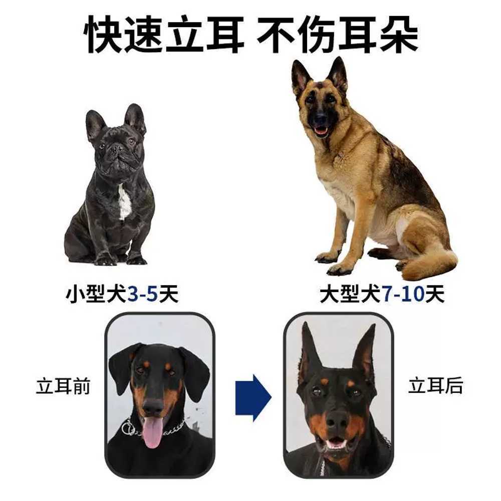 강아지 귀 교정 스티커 도구 반려견 누운귀 테이프 용품 동물 도베르만 패치 개 고정 시바 애완견 수직 - 상세 이미지 3