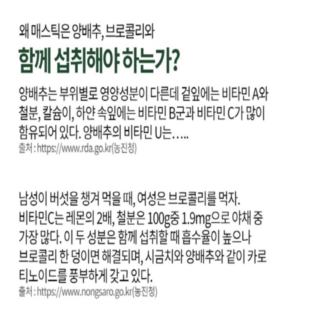 매스틱 알약 매스틱추출물 600mg 90정 이미지 6