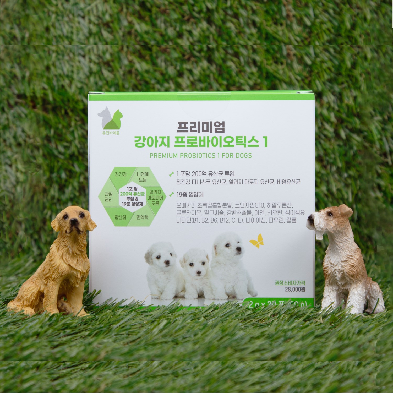 응가아저씨 강아지 프리미엄 유산균 30포x3박스 설사 변비 알러지 관절관리 - 상세 이미지 2