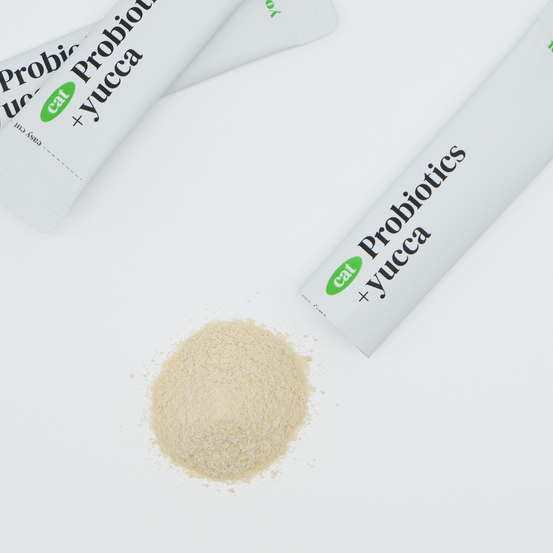 요로캣 고양이유산균 프로바이오틱스 30개입 고양이영양제 변비 설사 면역력