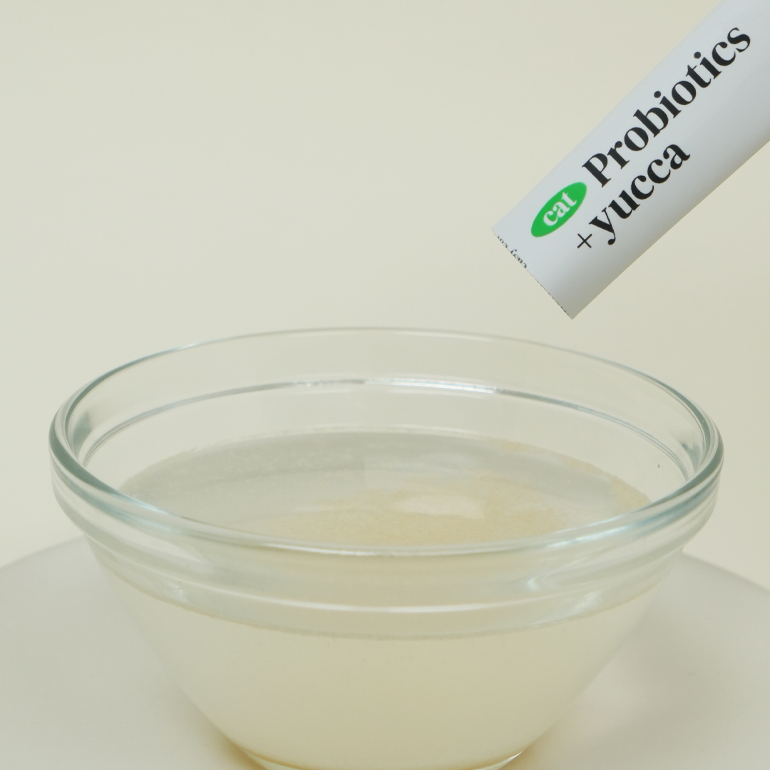 요로캣 고양이유산균 프로바이오틱스 30개입 고양이영양제 변비 설사 면역력