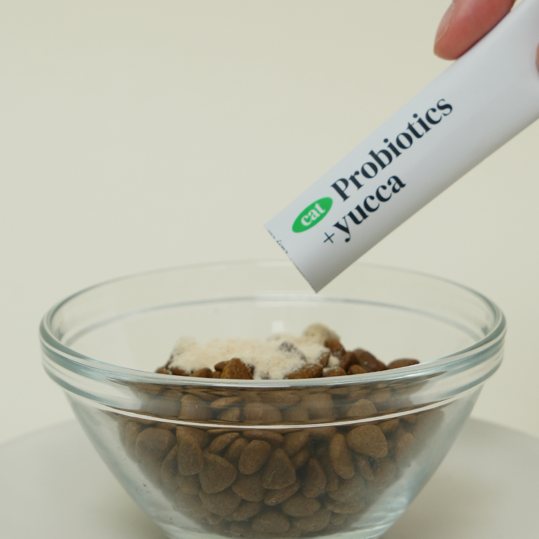 요로캣 고양이유산균 프로바이오틱스 30개입 고양이영양제 변비 설사 면역력