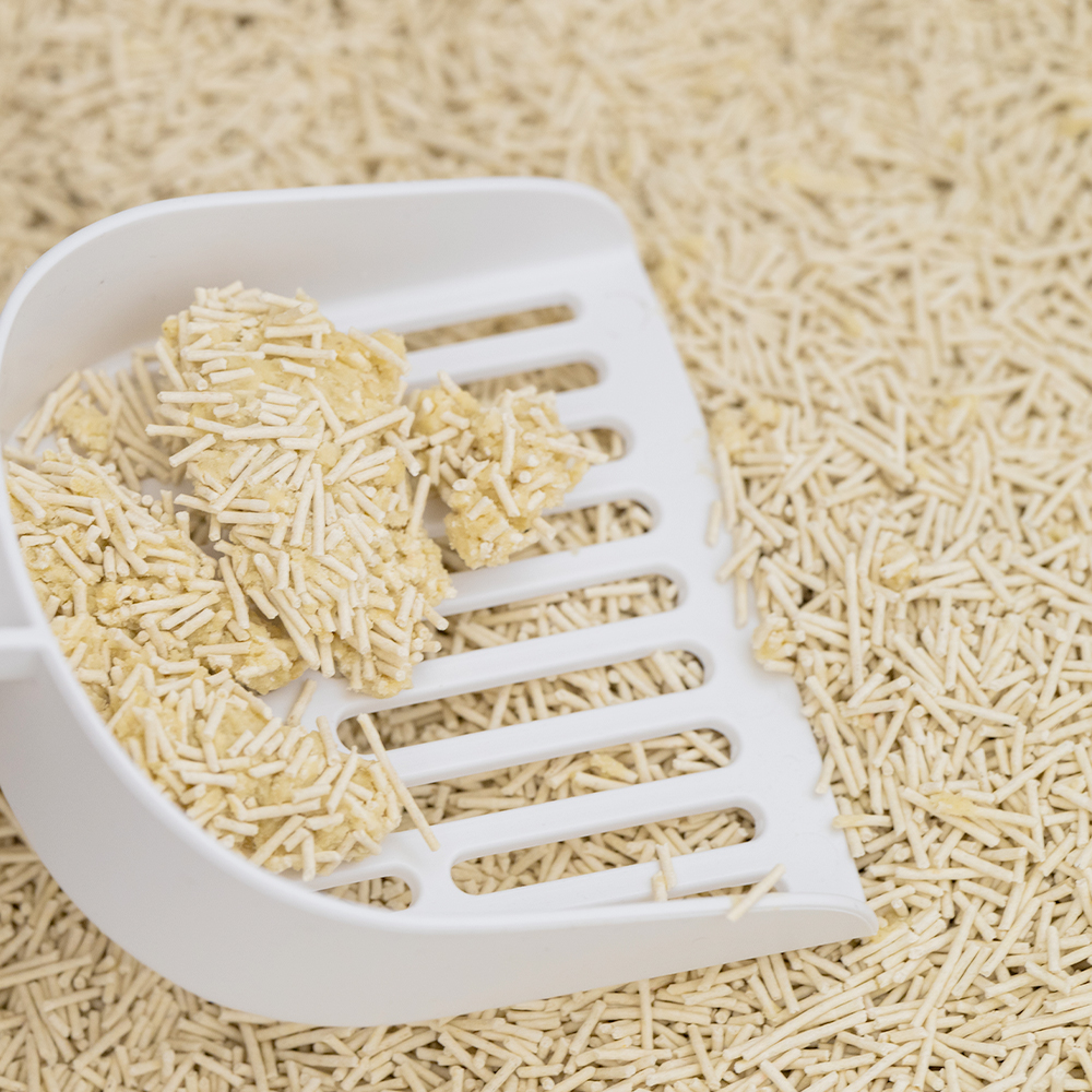 펫트리움 보들보들 두부모래 2.8kg 먼지없는 고양이모래