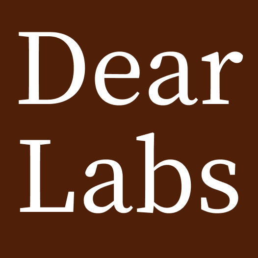 디어랩스 공식몰 스토어 로고