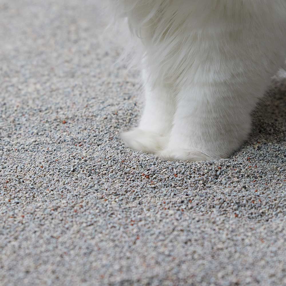 미유박스 울티메이트 벤토나이트 고양이모래 저먼지 와이오밍 6.3kg, 1개