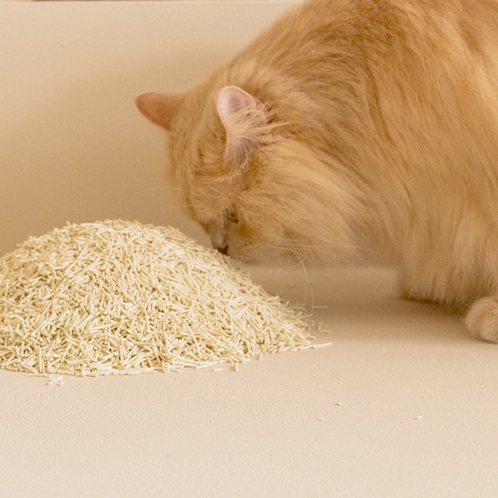 펫트리움 보들보들 두부모래 2.8kg 먼지없는 고양이모래