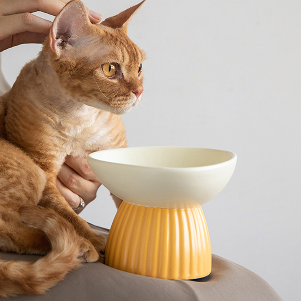 세라믹 강아지밥그릇 고양이 물그릇 고양이수반 슬로우 개밥그릇 애견 펫