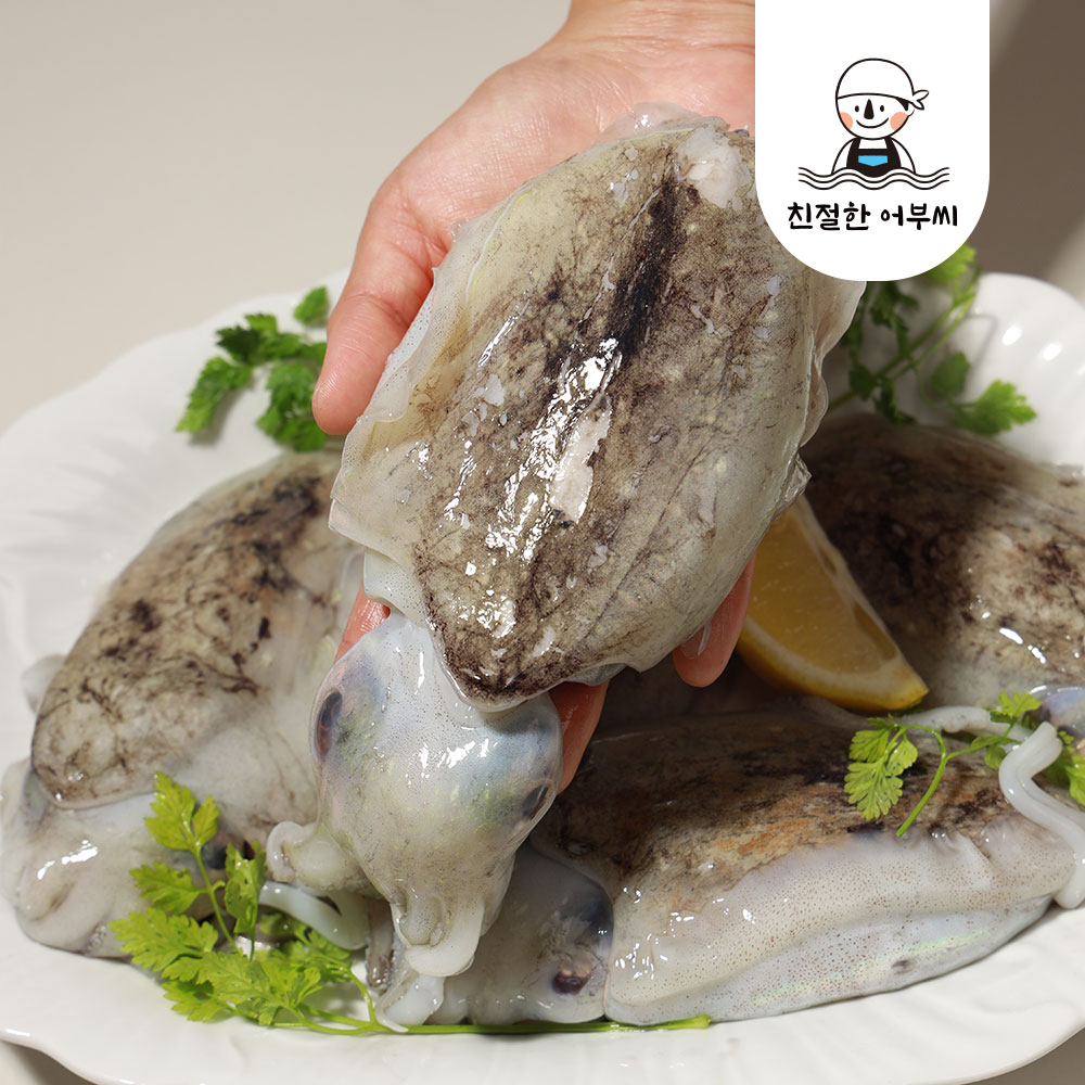 활갑오징어 손질갑오징어 봄 볶음 숙회 국내산 생물 냉동 친절한어부씨 이미지 2
