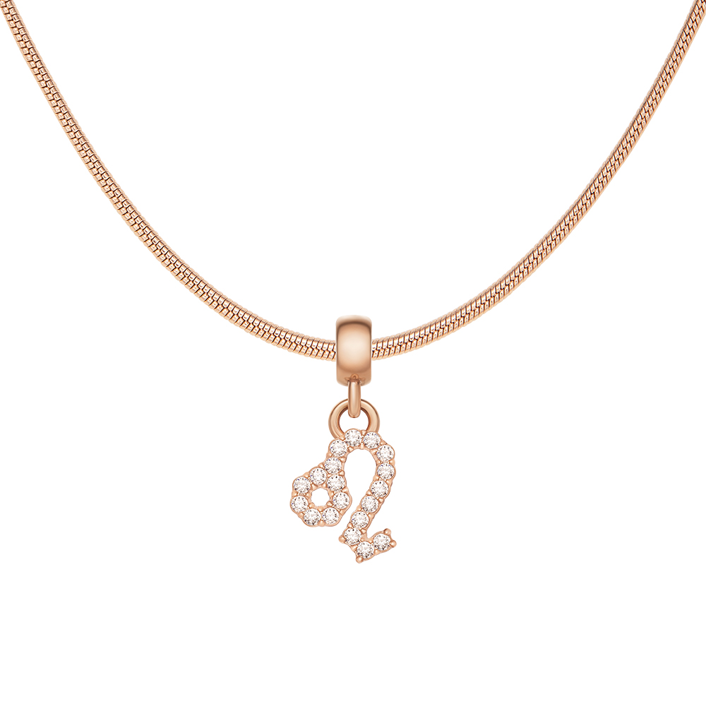 다니엘 웰링턴 CRYSTAL ZODIAC CHARM 크리스탈 별자리 팬던트 이미지 8