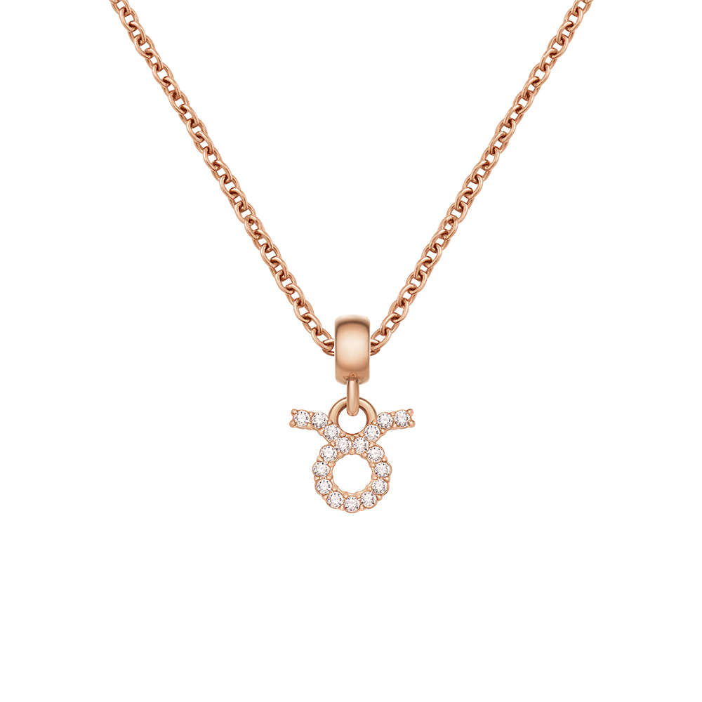 다니엘 웰링턴 CRYSTAL ZODIAC CHARM 크리스탈 별자리 팬던트 - 상세 이미지 5