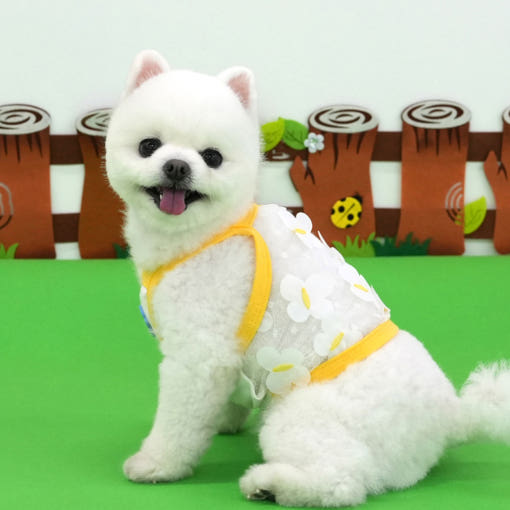 thumbnail-9