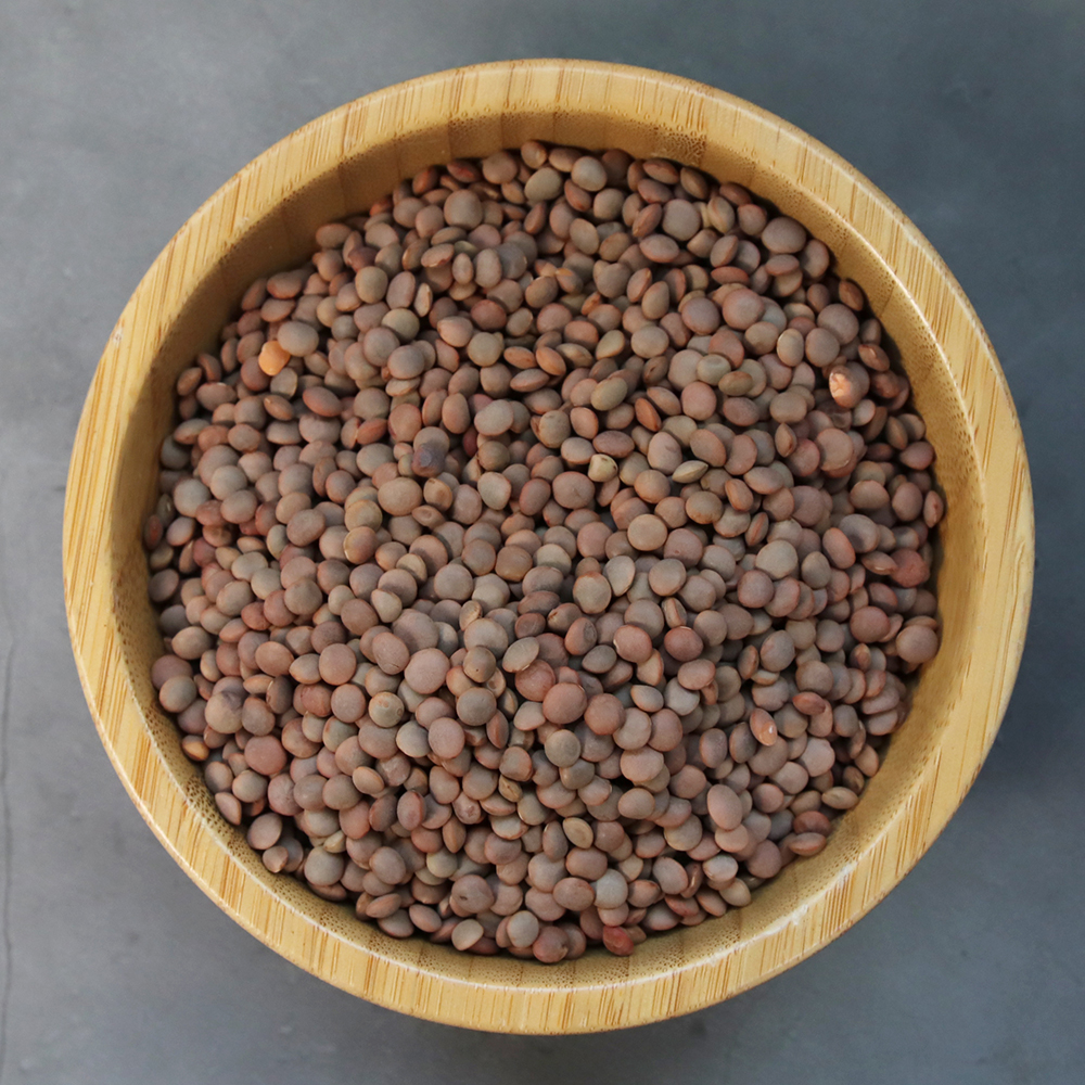 캐나다산 렌틸콩 브라운 렌즈콩 랜틸콩 1kg+1kg - 상세 이미지 3