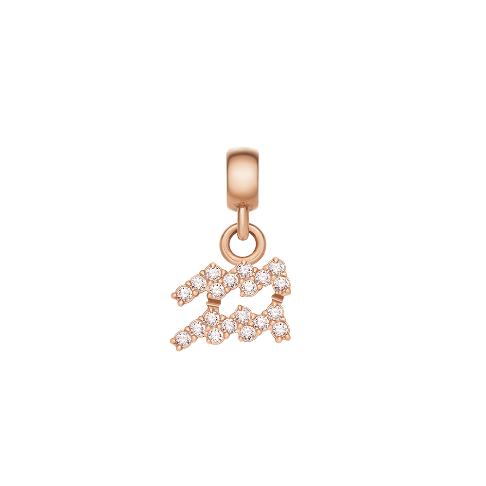 다니엘 웰링턴 CRYSTAL ZODIAC CHARM 크리스탈 별자리 팬던트 - 상품 이미지