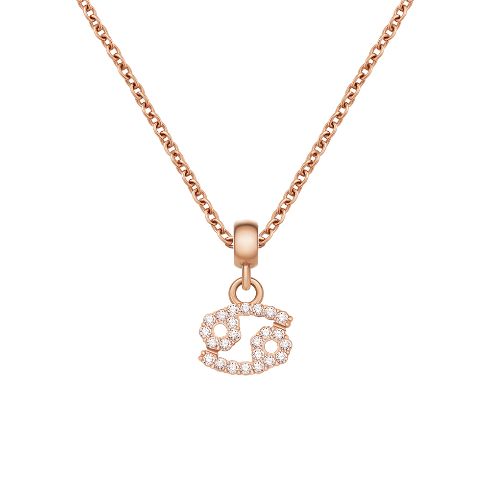 다니엘 웰링턴 CRYSTAL ZODIAC CHARM 크리스탈 별자리 팬던트 이미지 7