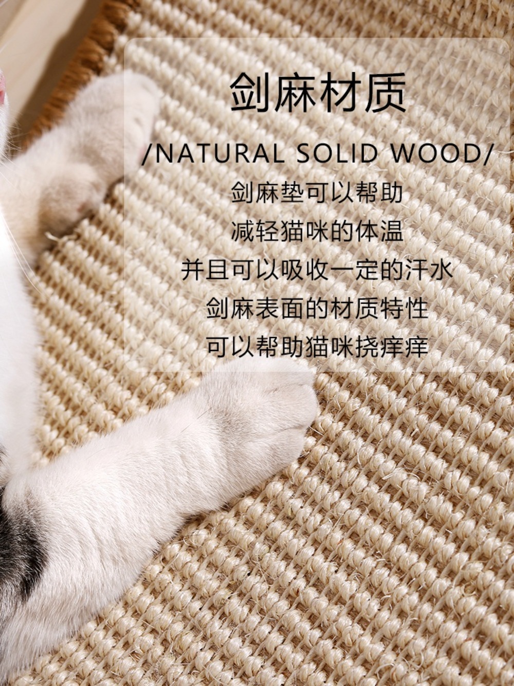 고양이의자 숨숨집 스툴 반려묘 냥이 침대 강아지 쿠션 애완동물 하우스 방석 - 상세 이미지 5