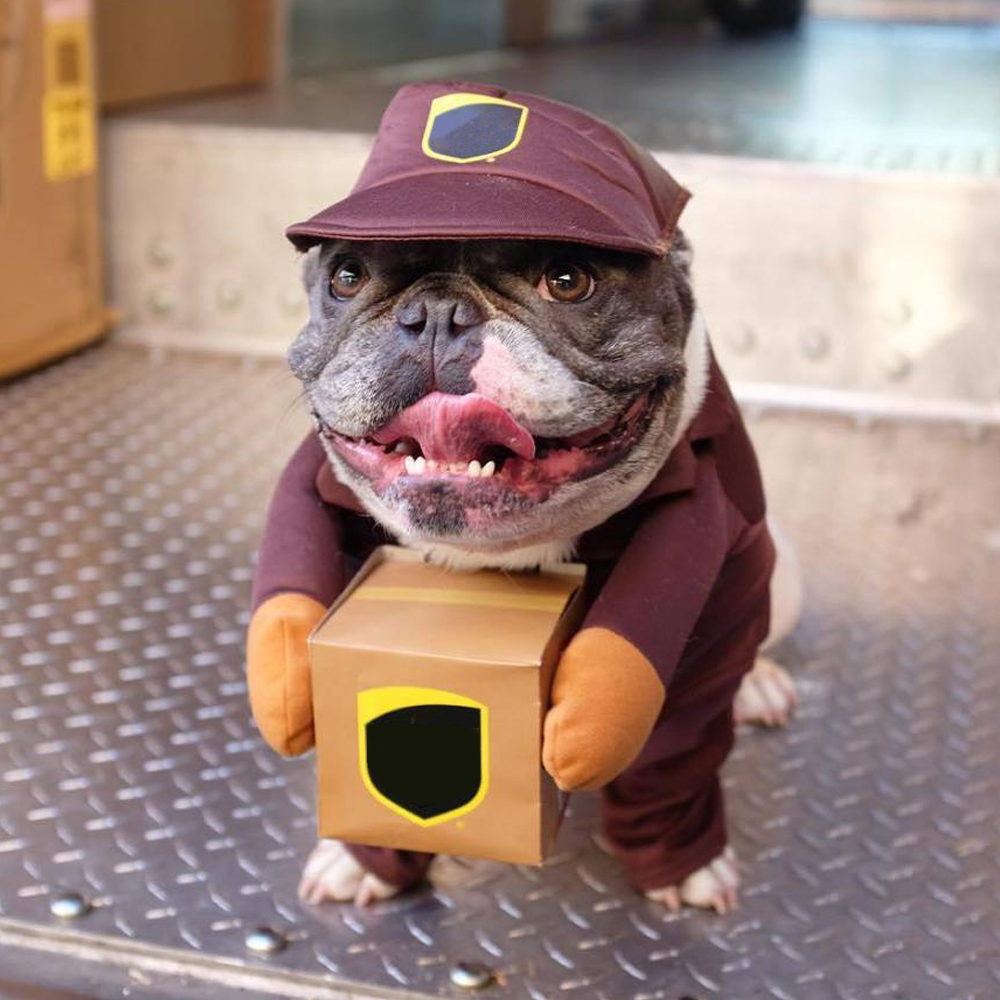 강아지 코스튬 옷 고양이 눈사람 크리스마스 특이한 웃긴 파티 겨울 모자 신발 처키