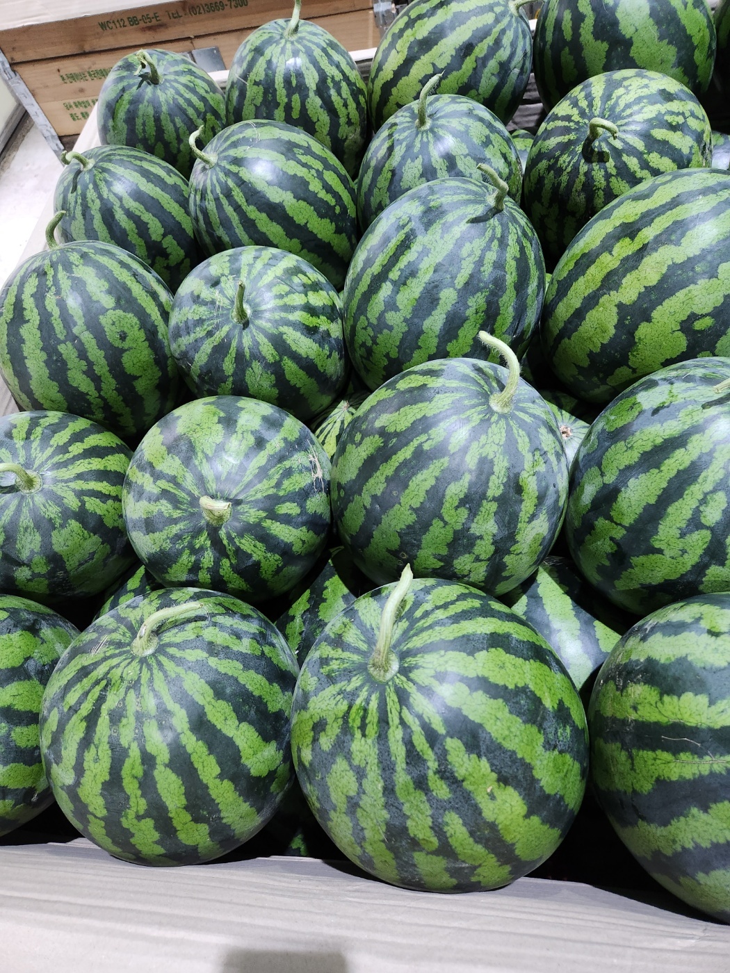 고당도 정품수박 당일수확 산지직송 화채 3-7kg 하우스재배 프리미엄 수박 - 상세 이미지 4