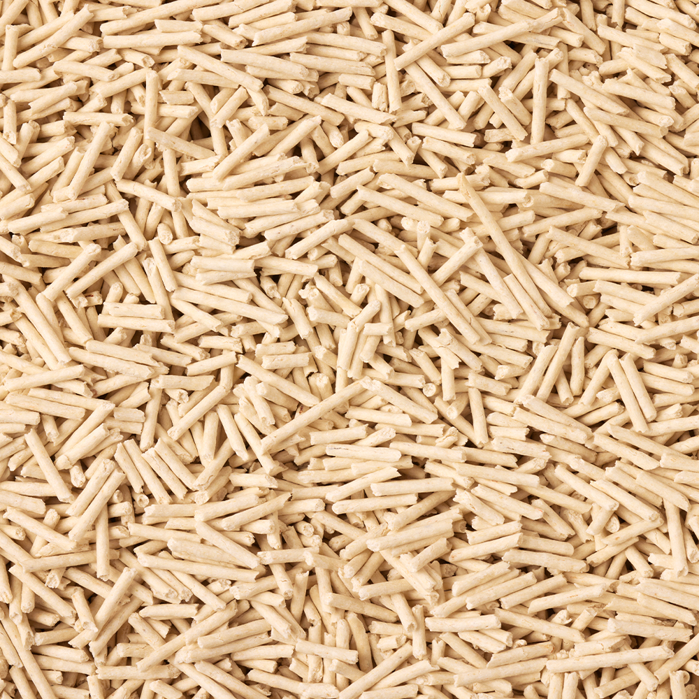 3651 365샌드 고양이 두부모래 2.0 녹차향, 2.8kg, 5개