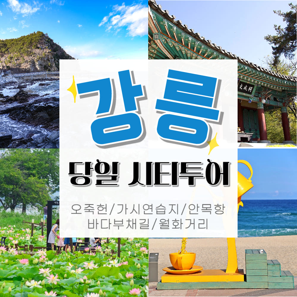 KTX 강릉 경포&바다부채길 당일치기 기차 여행 가격 비교 청송관광여행사 KTX 강릉 경포&바다부채길 당일치기 기차 여행