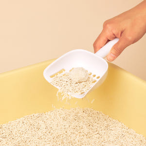 3651 365샌드 고양이 두부모래 2.0 녹차향, 2.8kg, 5개 솔직 후기 | 실제 사용자 리뷰 총정리 - 상품 이미지 3