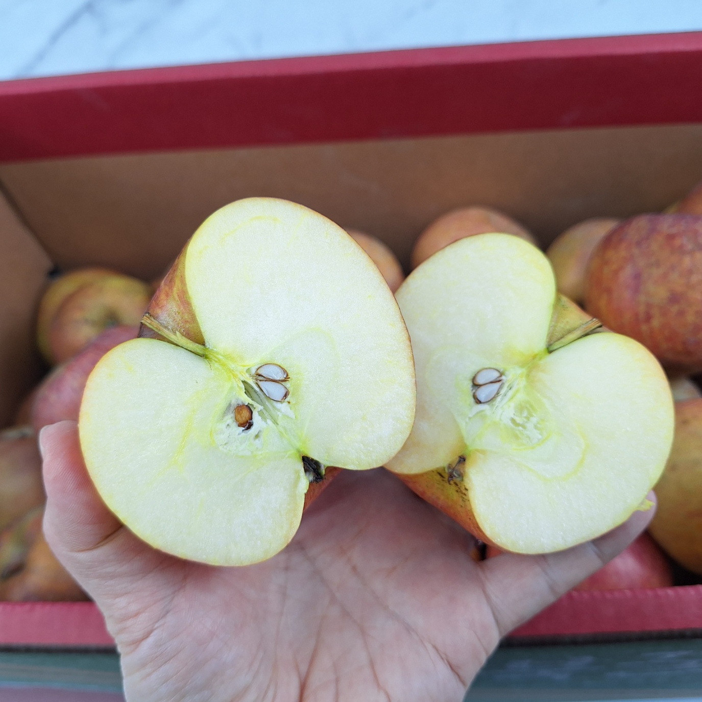 쥬스용 사과 10kg 갈아먹는 못난이 부사 주스용 사과 잼용 소스 흠집 10키로