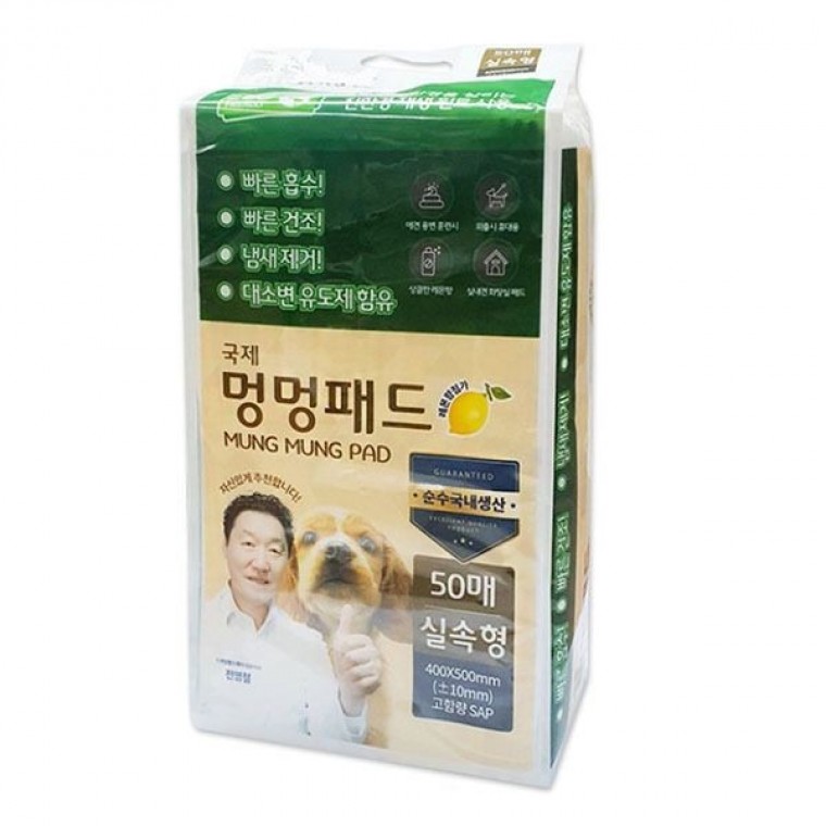 멍멍패드 강아지 배변패드 기저귀 400X500mm 50매 4개 - 메인 이미지