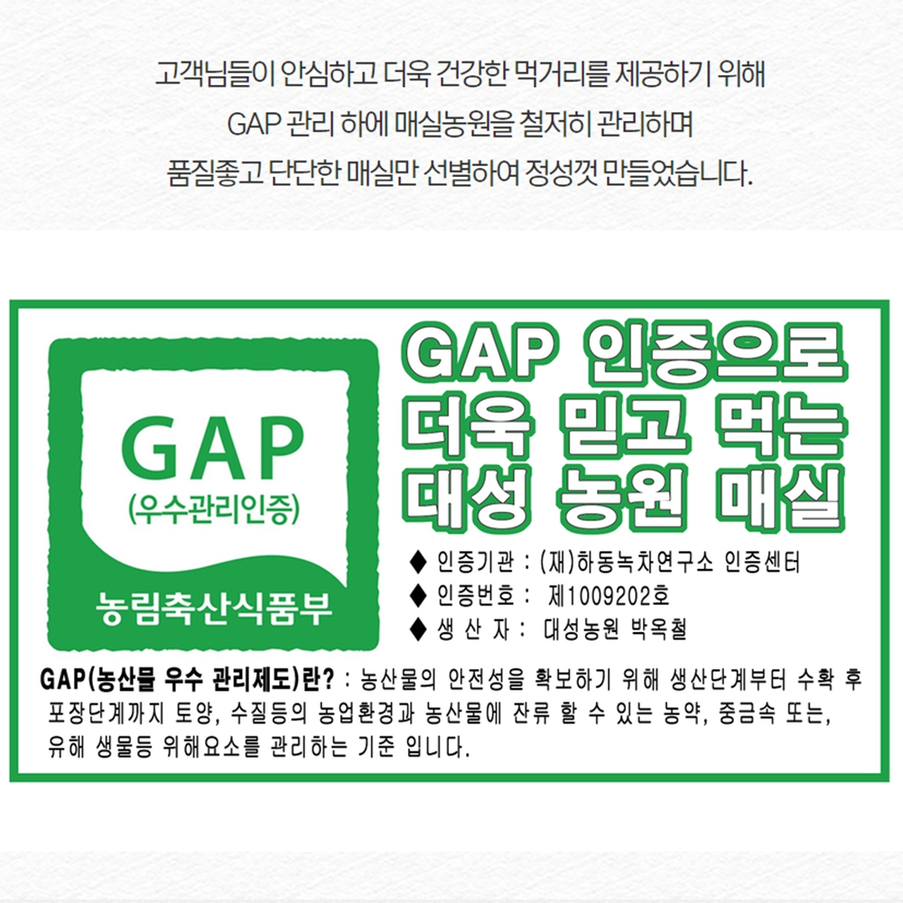 하동매실장아찌 장아치만들기 절임 짱아치 1kg - 상세 이미지 4