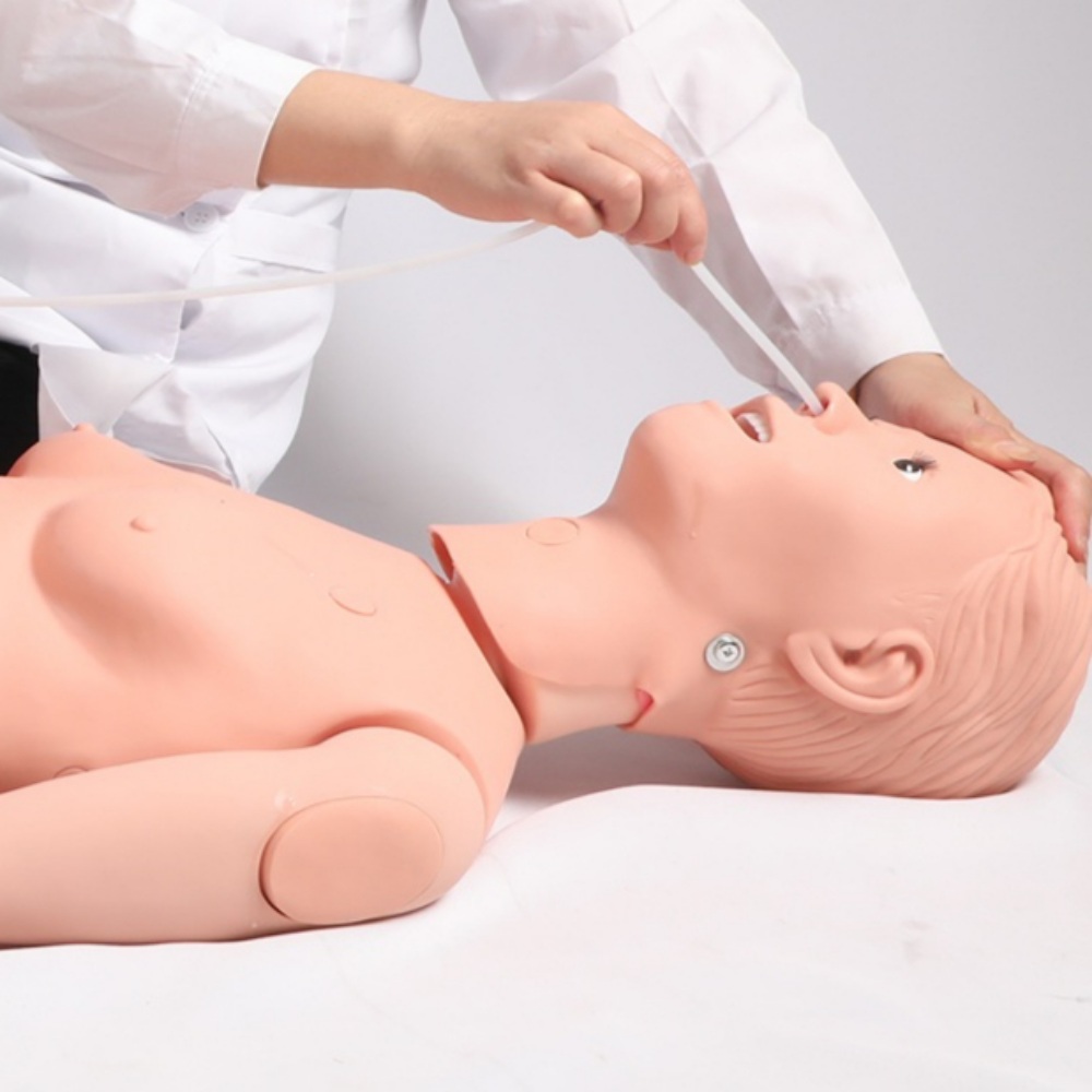 의료용 마네킹 정맥 카테터 심폐 소생술 - 상품 이미지