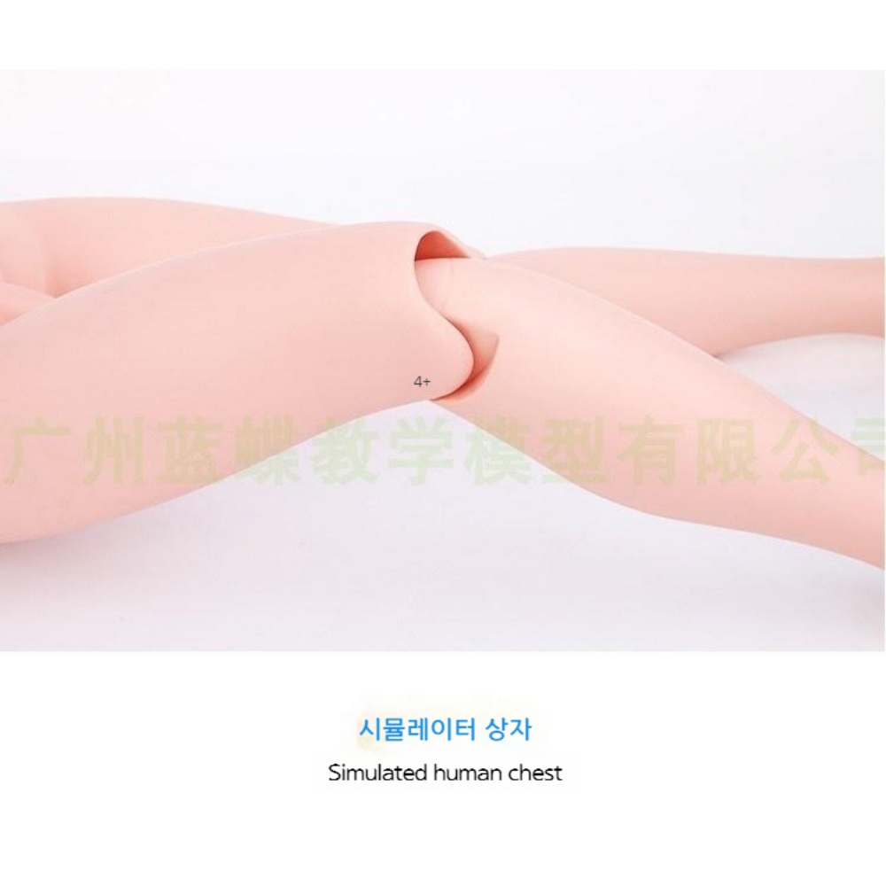 의료 마네킹 실습용 병원 의대 교육 과학실험 - 상세 이미지 4
