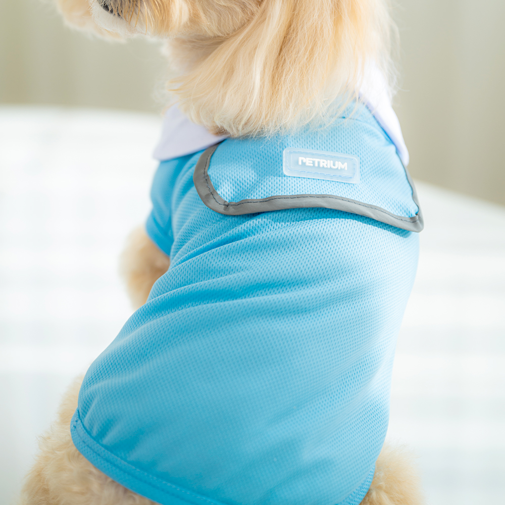 펫트리움 쏘쿨 조끼 강아지 여름옷 쿨조끼 쿨나시
