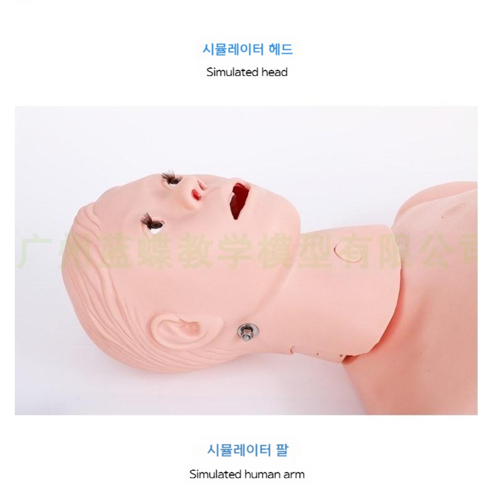 의료 마네킹 실습용 병원 의대 교육 과학실험 - 상세 이미지 2