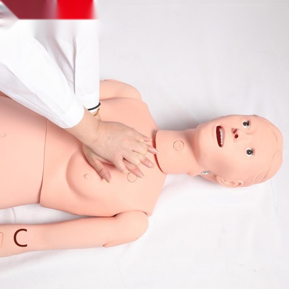 의료용 마네킹 정맥 카테터 심폐 소생술 - 상세 이미지 3