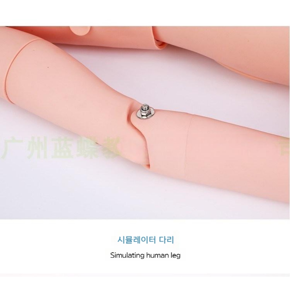 의료 마네킹 실습용 병원 의대 교육 과학실험 - 상세 이미지 3