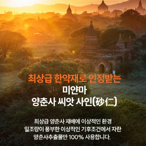 양춘사 추출물 바나바잎 혈당케어 60정 1+1 - 상세 이미지 4