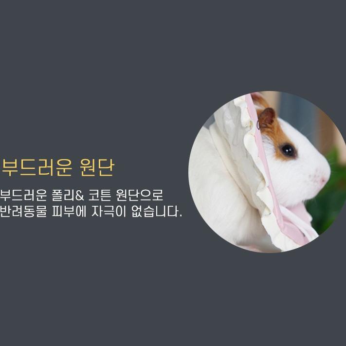 햄스터 넥 카라 소동물 새끼 고양이 넥 카라 S - 상세 이미지 5