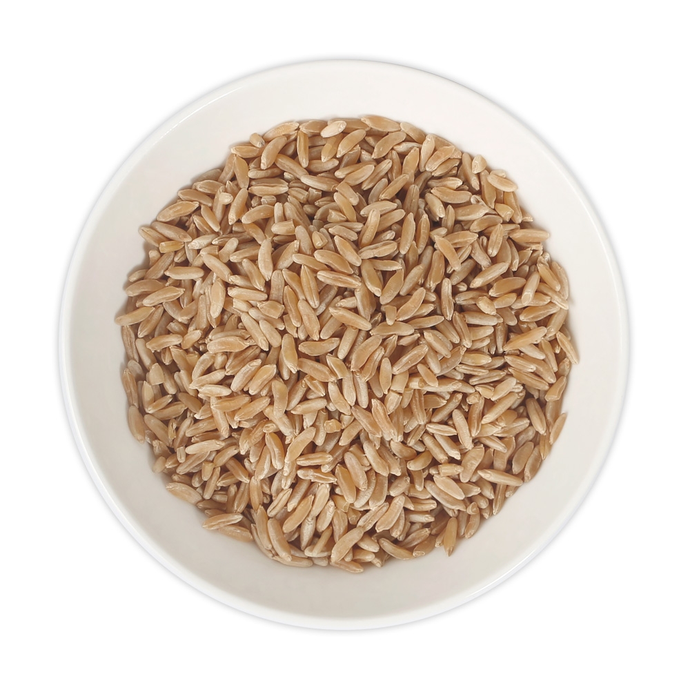 호라산밀 카무드쌀 카뮤트쌀 효능 2kg - 상세 이미지 4