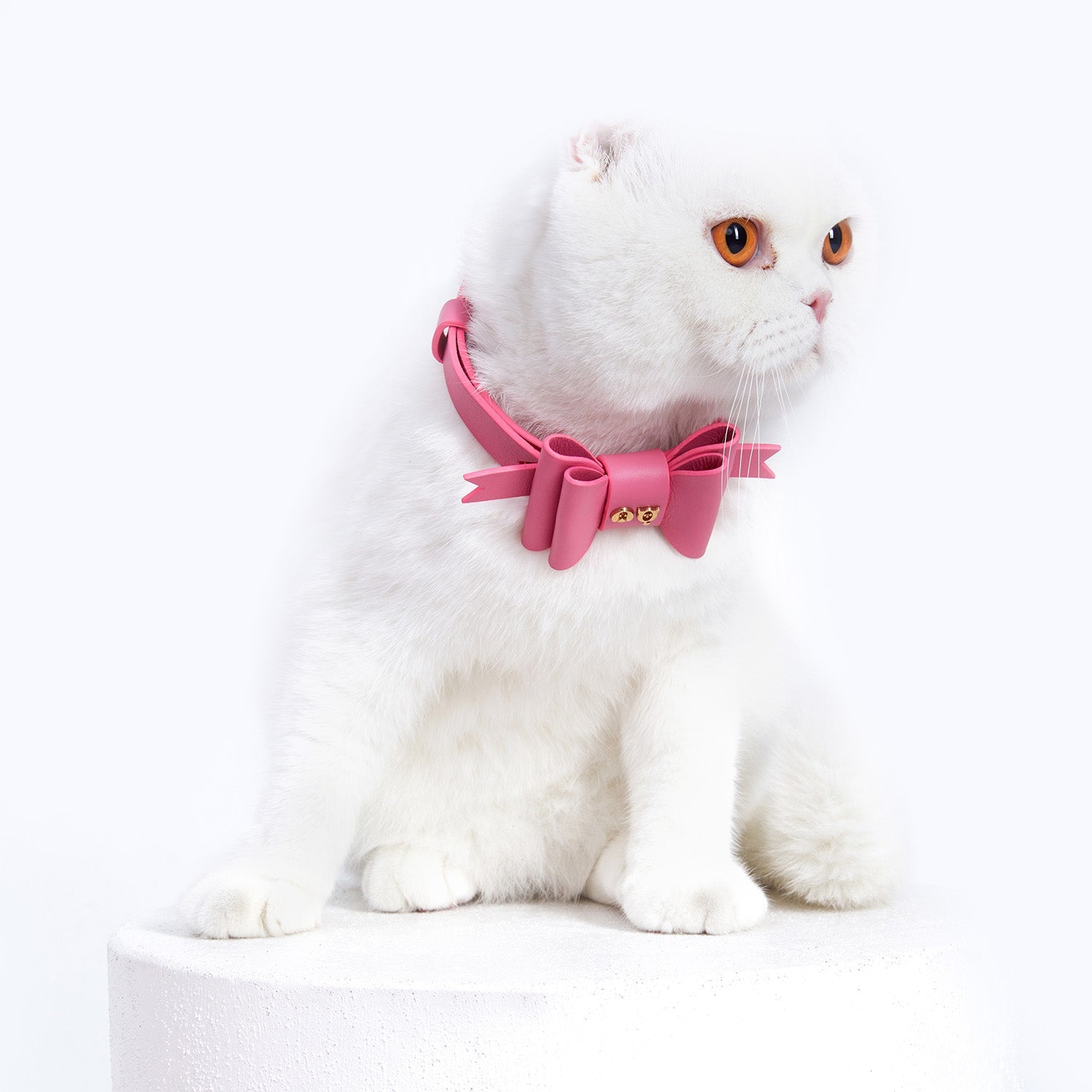 패리스힐튼 Moshiqa 고양이 목걸이 핑크 리본 목줄 - 메인 이미지