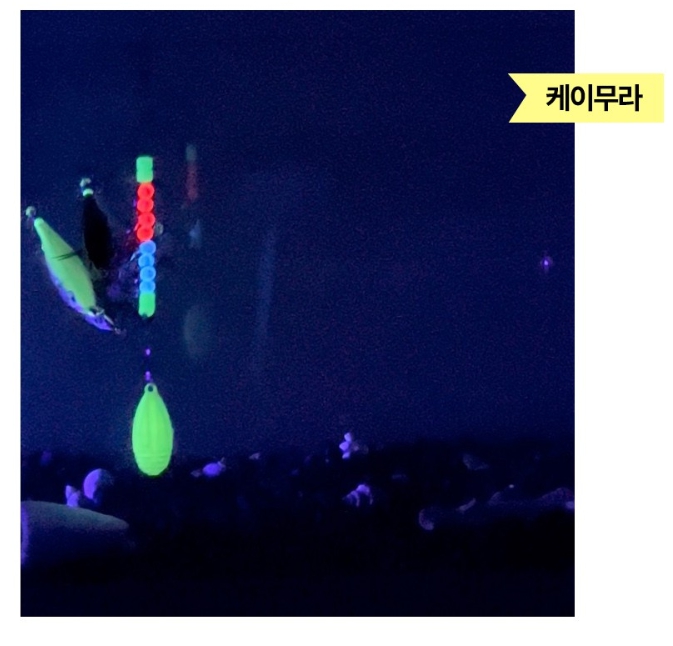 키우라 원클립 축광 문어 낚시 스냅 핀 인터락 도래 채비 - 상세 이미지 4
